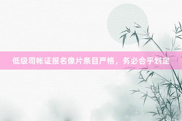 低级司帐证报名像片条目严格，务必合乎划定