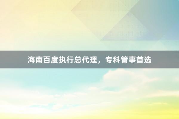 海南百度执行总代理，专科管事首选