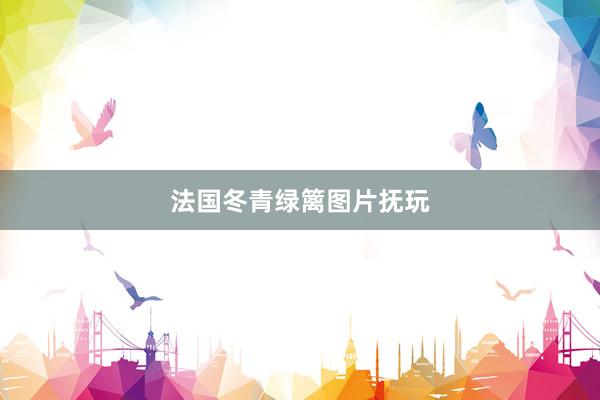 法国冬青绿篱图片抚玩