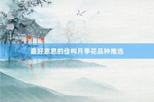 最好意思的佳构月季花品种推选