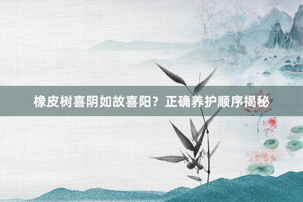 橡皮树喜阴如故喜阳？正确养护顺序揭秘