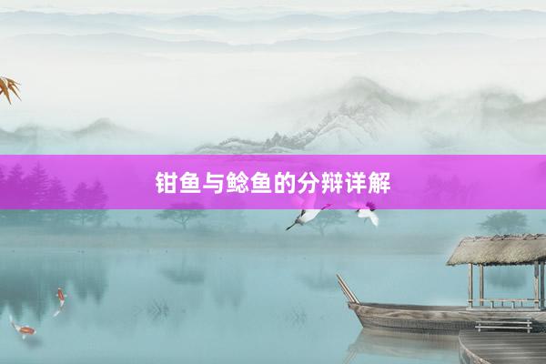 钳鱼与鲶鱼的分辩详解